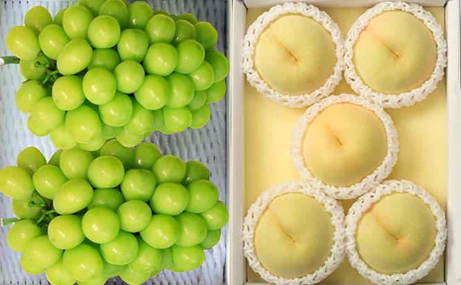 桃 ぶどう 2026年 先行予約 岡山 白桃 5玉とシャイン マスカット 2房 詰合せ 合計2.7kg以上 もも 葡萄 岡山県産 国産 フルーツ 果物 ギフト 環山堂 