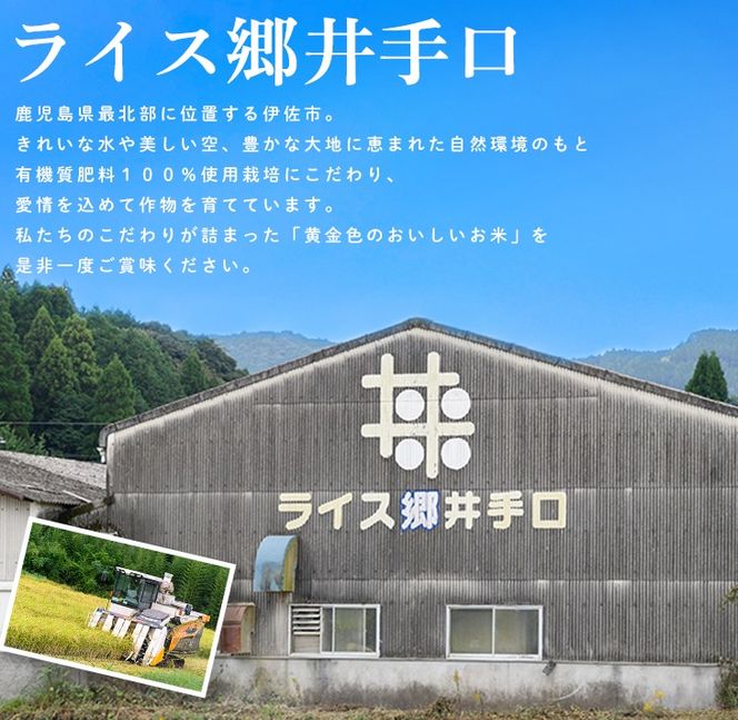 isa981 令和8年産 星のしずく(1kg) 伊佐米 新米 お米 米 おこめ こめ 白米 精米 伊佐米 星のしずく 【ライス郷井手口】