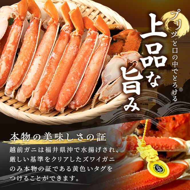 かに 訳あり 茹で 越前ガニ 約600g～700g未満1杯 ボイルカニ ボイル 魚介類 年末配送