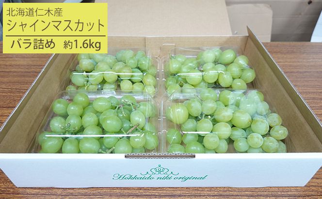 [先行受付] 北海道 仁木町産 シャインマスカット バラ詰め 約1.6kg（400g×4パック）果物 ぶどう フルーツ 果物類 ブドウ マスカット [松山商店]