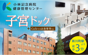 小林記念病院子宮ドック 利用券 1名様分 子宮 卵巣 MRI 子宮頸部細胞診 HPV ヒトパピローマウイルス 子宮内膜症 女性 券 チケット ギフト 贈り物 愛知県 碧南市 H203-003