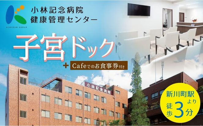 小林記念病院子宮ドック 利用券 1名様分 子宮 卵巣 MRI 子宮頸部細胞診 HPV ヒトパピローマウイルス 子宮内膜症 女性 券 チケット ギフト 贈り物 愛知県 碧南市 H203-003