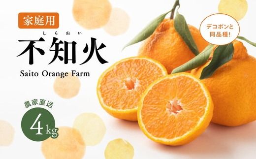 [先行予約]Saito Orange Farmの家庭用不知火4kg | 柑橘 みかん ミカン フルーツ 果物 でこぽん デコポンと同品種 愛媛 ※離島への配送不可 ※2025年3月中旬頃より順次発送予定