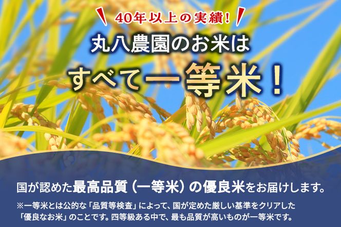 【予約】令和8年度産 静岡産 コシヒカリ 玄米 定期便 10kg×3カ月 米 コメ こしひかり コシヒカリ 袋井市 静岡県