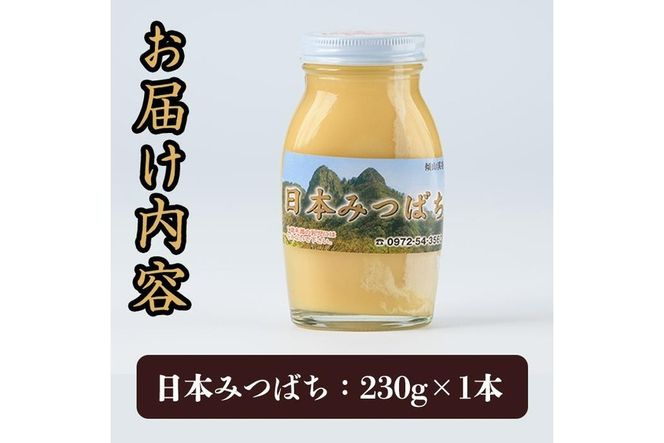 国産 はちみつ (230g) ハチミツ 蜂蜜 ロイヤルゼリー 調味料 スイーツ 多賀さん採蜜 大分県 佐伯市【AY65】【(公財)さいき農林公社】