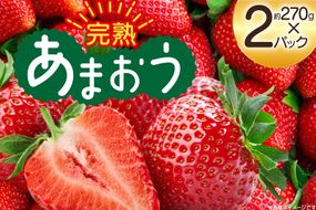 【期間限定発送】 いちご 完熟 あまおう 約270g 2p [mhshops 福岡県 筑紫野市 21761027] イチゴ 苺 フルーツ 果物 くだもの 2パック
