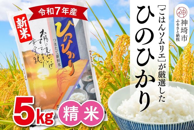 yꌧ_szyߘa7NY Vāz͂\GI  Ђ̂Ђ 5kgy_sY     5kg Ђ̂Ђ uh HӒmz(H063150)