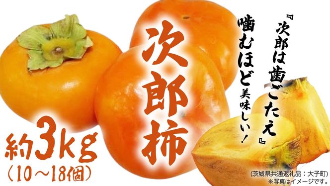 次郎柿 3kg 【2026年9月上旬発送開始】(茨城県共通返礼品：大子町) 柿 かき カキ 次郎柿 完全甘柿 秋の味覚 果物 フルーツ 旬