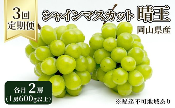 ぶどう 定期便 2026年 先行予約 シャイン マスカット 晴王 各月2房（1房600g以上） 3回コース マスカット ブドウ 葡萄  岡山県産 国産 フルーツ 果物 ギフト 大粒 高級 甘い 弾力