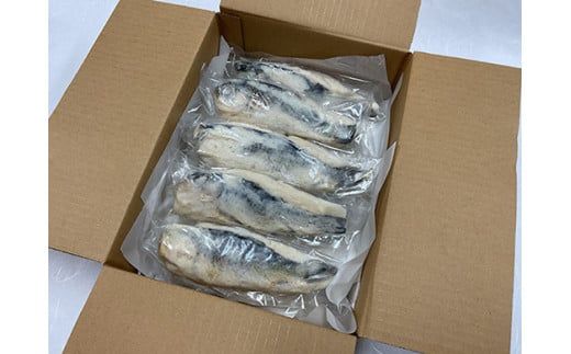 近江本にごろ　ふなずし　おす3kｇ（10尾前後）丸ごと【AD37W】（滋賀県　近江八幡市）