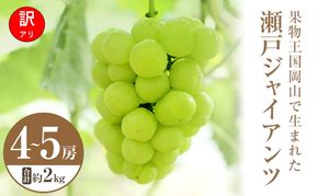 【2026年 先行予約】【訳あり品】 瀬戸ジャイアンツ 4～5房 合計約2kg 常温配送 ぶどう 葡萄 フルーツ 果物 岡山 岡山のぶどう 食後 デザート 産地直送 皮ごと 酸味が少ない 爽やか 甘い 