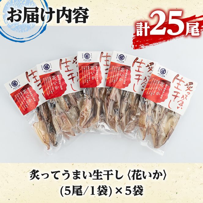 鹿児島県阿久根市産生干し「花いか」(計25尾・5尾×5袋)国産 魚介 干物 ひもの イカ 烏賊 がらんつ干物【マルフク川畑水産】akn029-06