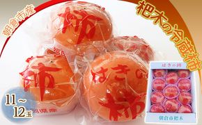 柿 冷蔵柿 11～12玉 ファームステーションバサロ 果物類 かき 