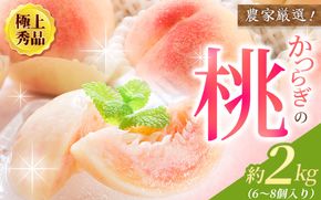 【先行予約】【厳選】あふれる果汁で口いっぱい！ 和歌山県産 桃 約2kg（6個～8個） 【2027年6月20日頃～順次発送予定】（お届け日指定不可）/ 和歌山 桃 モモ フルーツ もも 白桃 果物 くだもの【kgr001B】