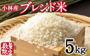 【生活応援米】湧水で育った小林市産ブレンド米 5kg（5kg×1袋 お米 米 ブレンド米 白米 精米 家庭用）