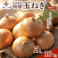 【新規】玉ねぎ 2Lサイズ 10kg
