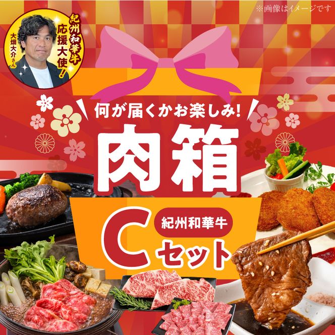 BN6137_お楽しみ肉箱 Cセット お試し ドキドキ 黒毛和牛 ハンバーグ ステーキ ロース ヒレ 焼肉 すき焼き しゃぶしゃぶ 盛り合わせ コロッケ ローストビーフ 食品 和歌山県 湯浅町 送料無料 