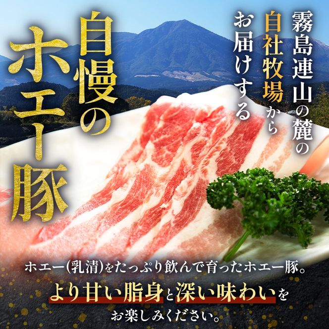 【訳あり】宮崎県産豚小間切れ 1.25kg（250g×5袋 豚肉 豚 ホエイ豚 こま切れ 豚こま 豚小間切れ 豚しゃぶ 切り落とし 個包装 訳あり 小分け）