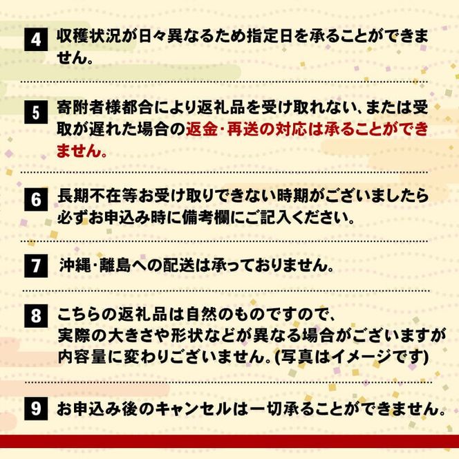 【先行予約受付】 さんま 大型5尾 冷蔵 鮮秋刀魚 期間限定 [発送:2024年9月～2024年11月下旬] 三陸 岩手 大船渡市 [kama030]