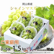 【2026年8月下旬より発送】ご家庭用 岡山県産 シャインマスカット 晴王 1.5kg(3～6房) ぶどう 葡萄 ブドウ フルーツ 果物