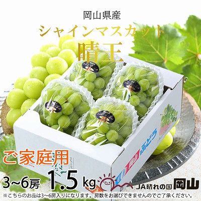 【2026年8月下旬より発送】ご家庭用 岡山県産 シャインマスカット 晴王 1.5kg(3～6房) ぶどう 葡萄 ブドウ フルーツ 果物