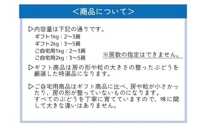 【2026年先行予約】 ここちとふぁーむ 【ギフト】 岡山県産 シャインマスカット＆旬のおまかせぶどう 2～3房 約1kg 【koko015-01】