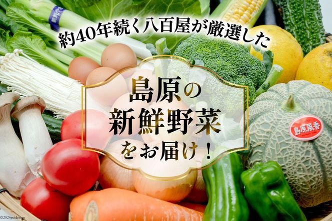 【CF01】BE236 旬の野菜・フルーツ (12〜14品目)・卵 (6個) おまかせ セット【 野菜 果物 卵 やさい くだもの 果物 タマゴ たまご 詰め合わせ フードショップ江戸屋 長崎県 島原市 】