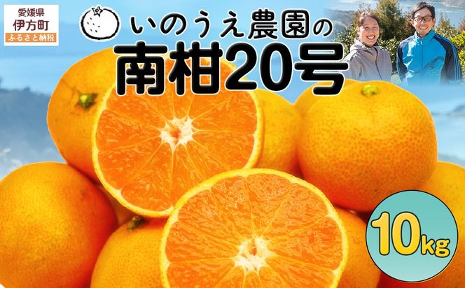 【先行予約】いのうえ農園の南柑20号 10kg ※離島への配送不可（2026年12月上旬より順次発送） IKTAI007