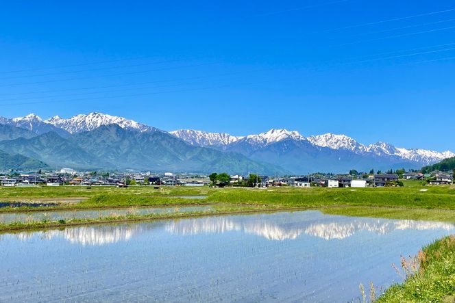 宿泊券 民宿 【全部屋絶景】貸切 [民宿 山想 長野県 池田町 48110691]  素泊まり 旅行