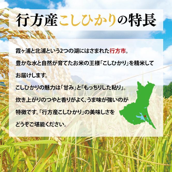 ★令和7年度産★行方産こしひかり 10kg(検査1等米)｜米 お米 コシヒカリ こしひかり 令和7年産 R7年産 茨城県 行方市(CU-31-2)