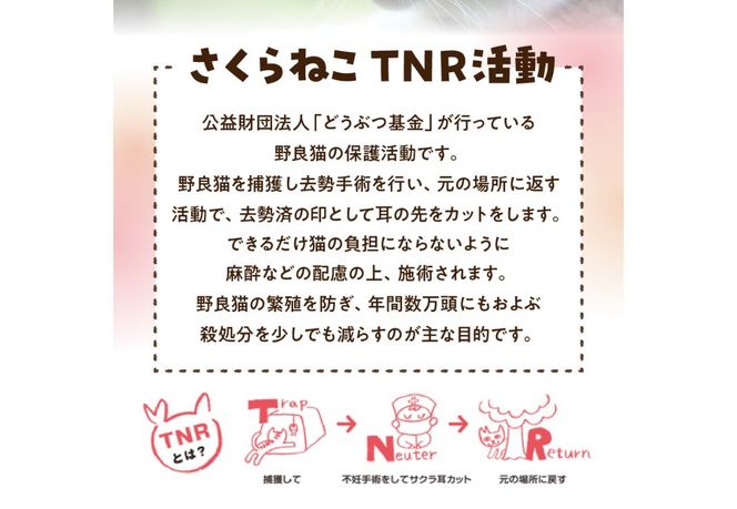 〈選べる豆/粉/ドリップ〉メール便発送【訳あり】野良猫保護支援 さくらねこ ブレンドコーヒー 富士山の湧き水で磨いた スペシャルティコーヒー【400g/20パック】　珈琲 マイルド スペシャルティ コーヒー 期間限定 山梨 富士吉田