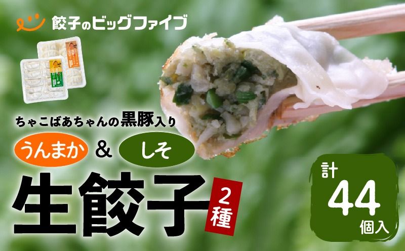 ちゃこばあちゃんの黒豚入りうんまか・しそ生餃子 計44個入り