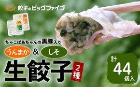 ちゃこばあちゃんの黒豚入りうんまか・しそ生餃子　計44個入り　K027-004