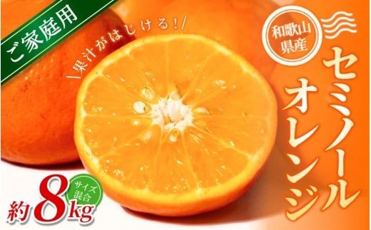 ya̎RI쒬zyƒpzI Z~m[IW 8kg a̎RY 2S~2LTCY2026N4{`5{ɏymrmt050z