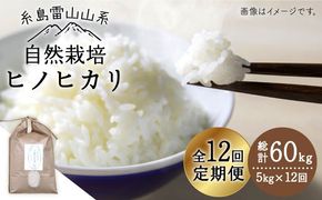 【令和7年産新米】【 全12回 定期便 】 自然栽培 ヒノヒカリ 5kg 《糸島》【大石ファーム】 [ATE019] 