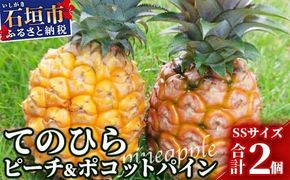 《2026年4月～7月順次発送》【先行受付】希少！濃厚！「枝先完熟・てのひらパイン」ピーチ・ポコット食べ比べセット【産地直送 沖縄県 石垣島 農家直送 パイン フルーツ 離島のいいもの 沖縄いいもの石垣島 】OI-4