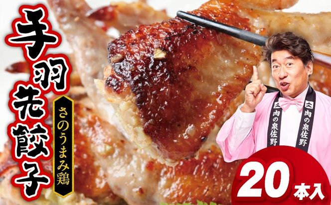 099H3104 手羽先餃子20本 (10本×2袋) 日本料理屋のお惣菜 さのうまみ鶏 小分け