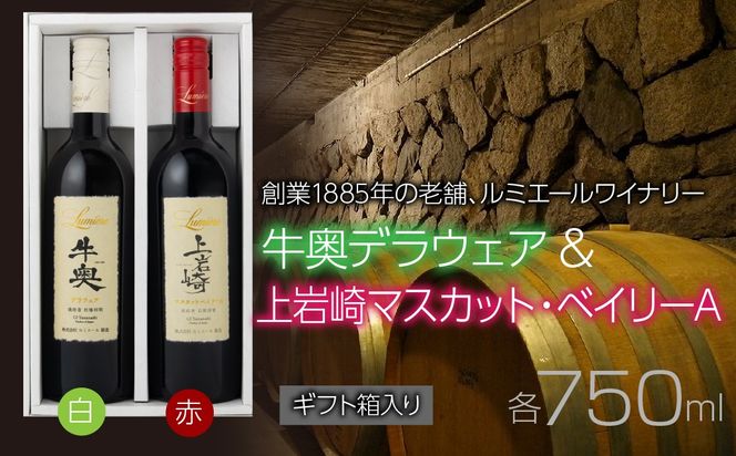 牛奥デラウェア  & 上岩崎マスカット・ベイリーA  【ギフト箱入】　ギフトセット FAM026