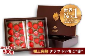 【完熟クラフト苺BERRY】有名シェフ御用達【樹上完熟赤いちご】約500g（出荷2025年12月上旬～2026年5月下旬） yuji0009