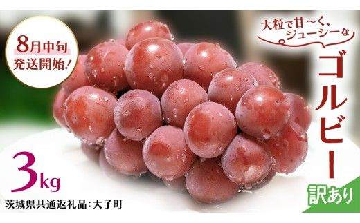 【 訳あり 】 ゴルビー 3kg 【2026年8月中旬発送開始】(茨城県共通返礼品：大子町) ぶどう 葡萄 ブドウ 果物 フルーツ 果実 ワケあり ご自宅用 ご家庭用 自分用