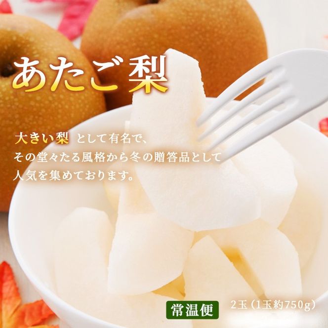 フルーツ 定期便 2026年 先行予約 フルーツ王国 岡山の果物 5回コース 夏～冬物語  桃 もも 葡萄 ぶどう 梨 なし岡山県産 国産 果物 セット ギフト ニューピオーネ シャインマスカット あたご梨 