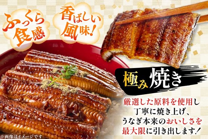 うなぎ 国産 【 丑の日 季節の定期便 】 日向極み うなぎ蒲焼 4尾 計480g [日向サンパーク 宮崎県 日向市 452061506] ギフト 小分け 真空パック 鰻 ウナギ うなぎの蒲焼 蒲焼 蒲焼き