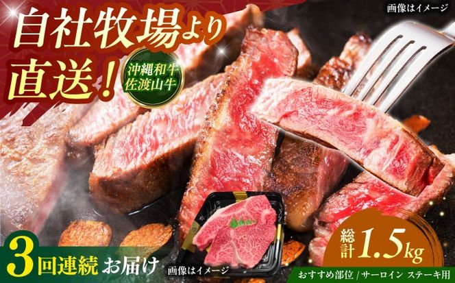 yꌧszyS3ցzyʌza nR T[C󏭕 Xe[L 500g  a T[CXe[L ē Ԑg s / ̃Tu[[BCBC014]