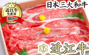 【3月発送分】極上近江牛カルビスライス【800g】【CB06W-3m】