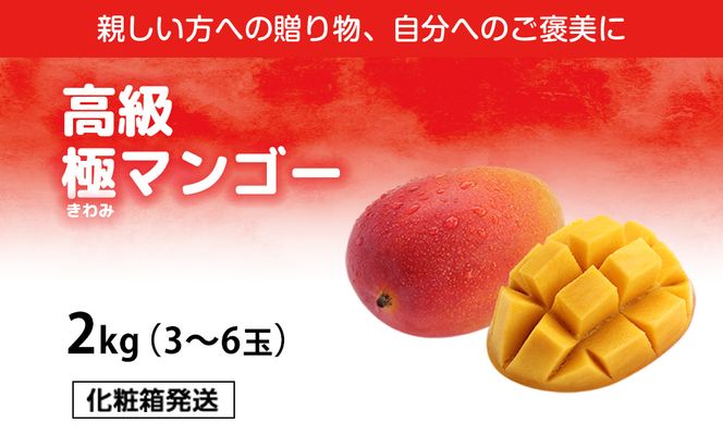 高級マンゴー　極２kg 【熱帯資源植物研究所】