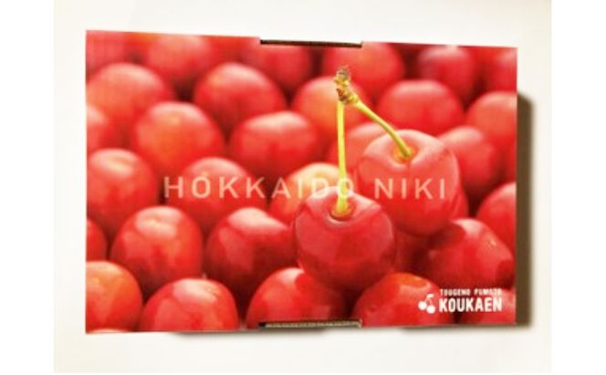 先行受付 北海道 仁木町産 さくらんぼ【 佐藤錦 】又は【 紅秀峰 】バラ詰め 900g Lサイズ以上　 食後 デザート 旬の果物 サクランボ チェリー フルーツ 果物 果物類 仁木町 仁木 [峠のふもと紅果園]