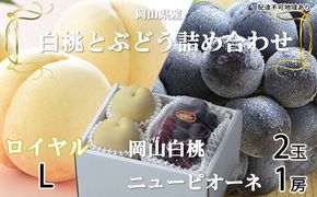 岡山白桃 ロイヤル 2玉×約200g（Lサイズ、早生種・中生種）ニューピオーネ 1房約400g 詰合せ 岡山県産