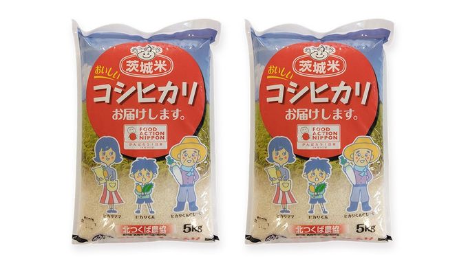 【 定期便 3ヶ月 】 JA北つくば 茨城県産 コシヒカリ 10kg ( 5kg × 2袋 ) 令和6年産 農協 JA 米 お米 白米 コメ こしひかり 茨城県 精米 新生活 応援 [AE044ci]