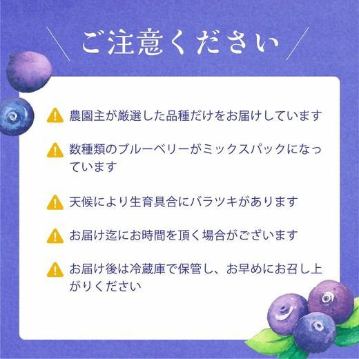 【先行受付予約】知多半島 生ブルーベリー 400g（100g×4パック） 完熟 果物 フルーツ 旬 農園直送 青果物 国産 健康 美容 愛知県 美浜町 ブルーベリーの里みはま 産地直送 ※2026年6月上旬～8月中旬に順次発送予定 送料無料 数量限定 期間限定 ※北海道・沖縄・離島への配送不可