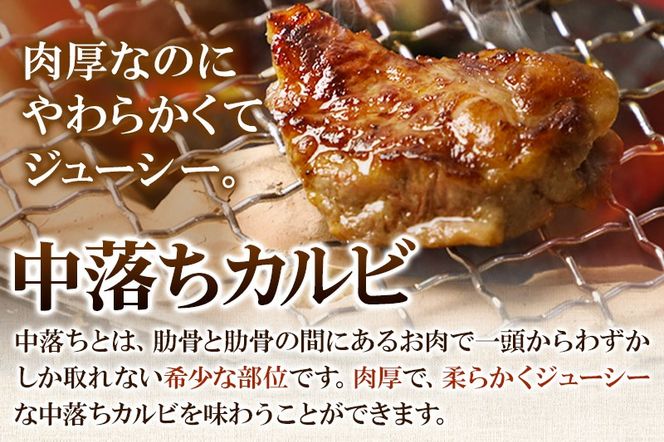 お肉屋さんの中落ちカルビ（タレ味）1kg小分け対応（250g×4パック）|06_thm-380401
